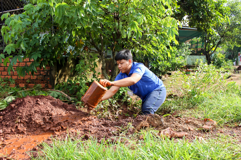 cá cược thể thao hul city